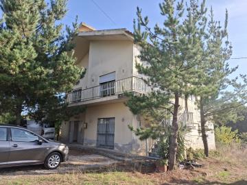 20251014_165516_resized