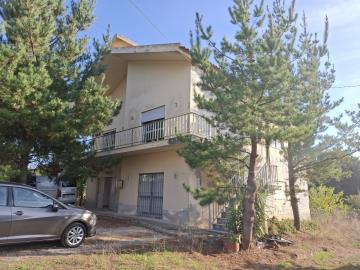 20251014_165518_resized