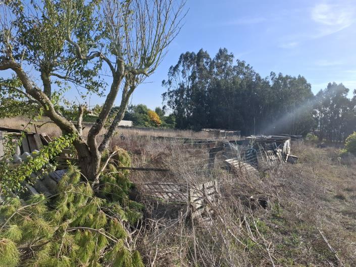 Image No.50-Maison / Villa de 3 chambres à vendre à Obidos