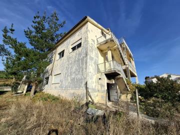 20251014_165656_resized