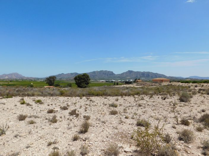 Image No.11-Terre à vendre à Fortuna