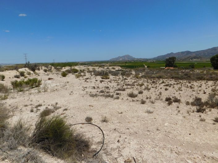 Image No.2-Terre à vendre à Fortuna