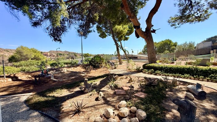 Image No.16-Maison de campagne de 4 chambres à vendre à Elche