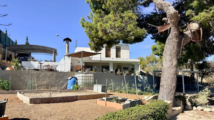 Image No.17-Maison de campagne de 4 chambres à vendre à Elche