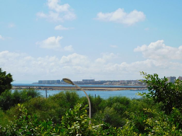 Image No.3-Appartement de 3 chambres à vendre à Torrevieja