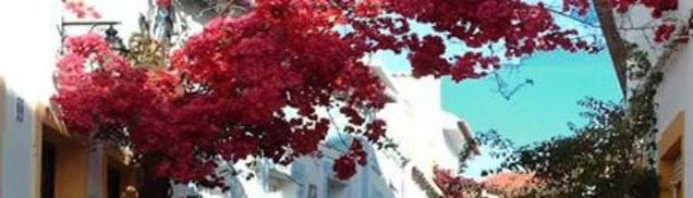 Image No.9-Appartement à vendre à Carvoeiro