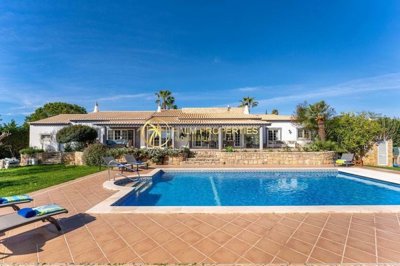 1706-635600-4017d2f44a169e2070a298ad08d2a2828