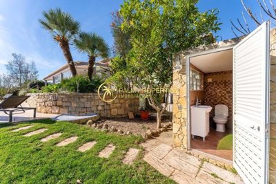 1706-635600-4017d2f44a169e2070a298ad08d2a2828