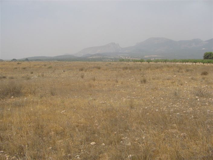 Image No.3-1 Bed Villa for sale