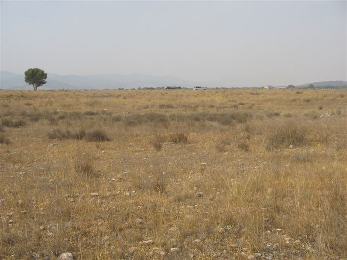 Image No.4-1 Bed Villa for sale