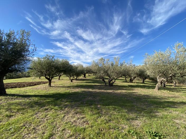 Image No.59-3 Bed House/Villa for sale