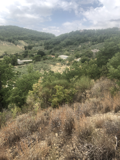 Image No.31-Country House for sale