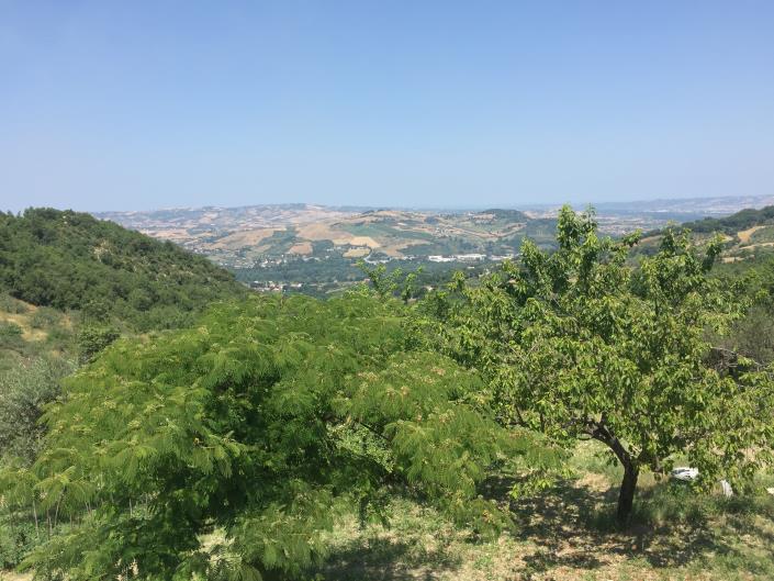 Image No.22-Ferme de 3 chambres à vendre à Casoli