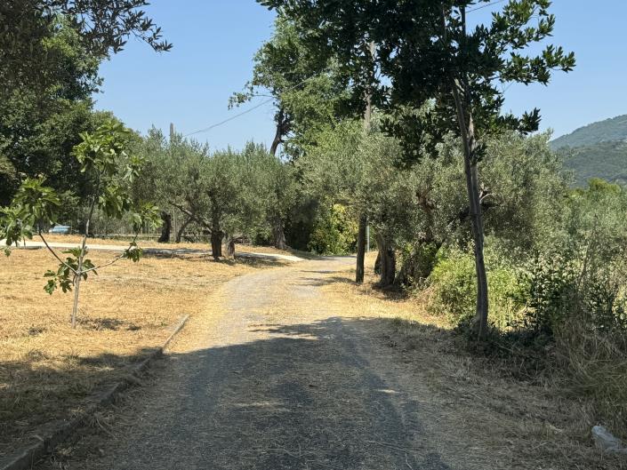 Image No.47-4 Bed House for sale