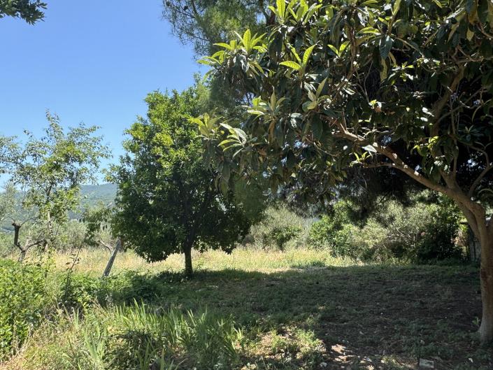 Image No.58-4 Bed House for sale