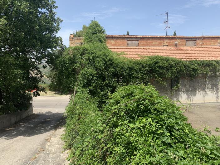 Image No.42-2 Bed Bar for sale