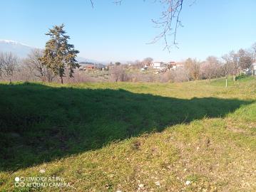 IMG_20220211_111001_921