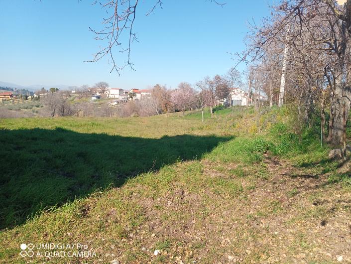 Image No.15-Villa / Détaché à vendre à Castél Frentano