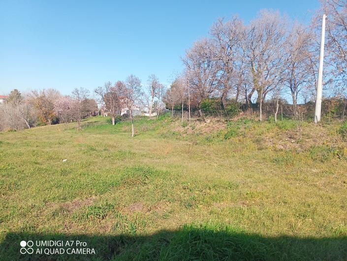 Image No.19-Villa / Détaché à vendre à Castél Frentano