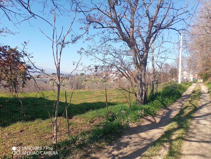 Image No.22-Villa / Détaché à vendre à Castél Frentano