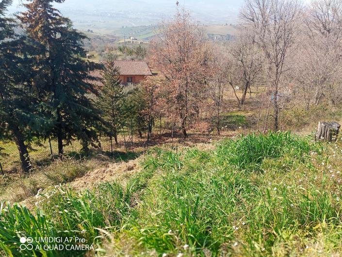 Image No.23-Villa / Détaché à vendre à Castél Frentano