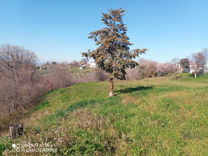 Image No.25-Villa / Détaché à vendre à Castél Frentano