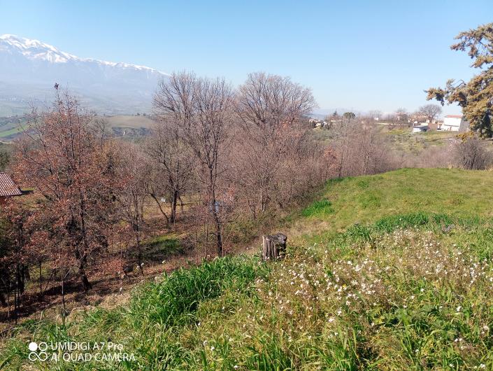 Image No.24-Villa / Détaché à vendre à Castél Frentano