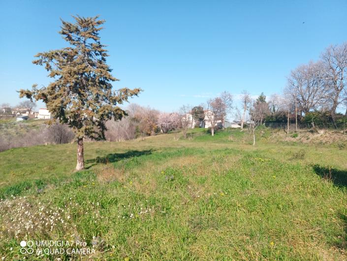 Image No.7-Villa / Détaché à vendre à Castél Frentano