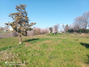 IMG_20220211_111110_462