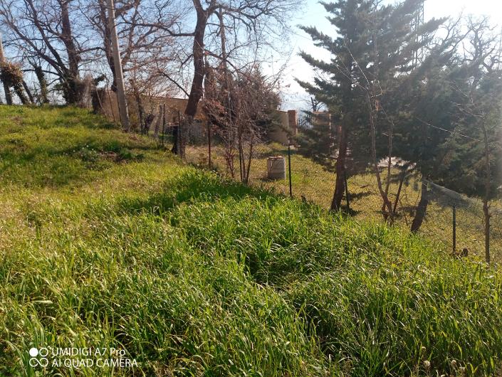 Image No.21-Villa / Détaché à vendre à Castél Frentano