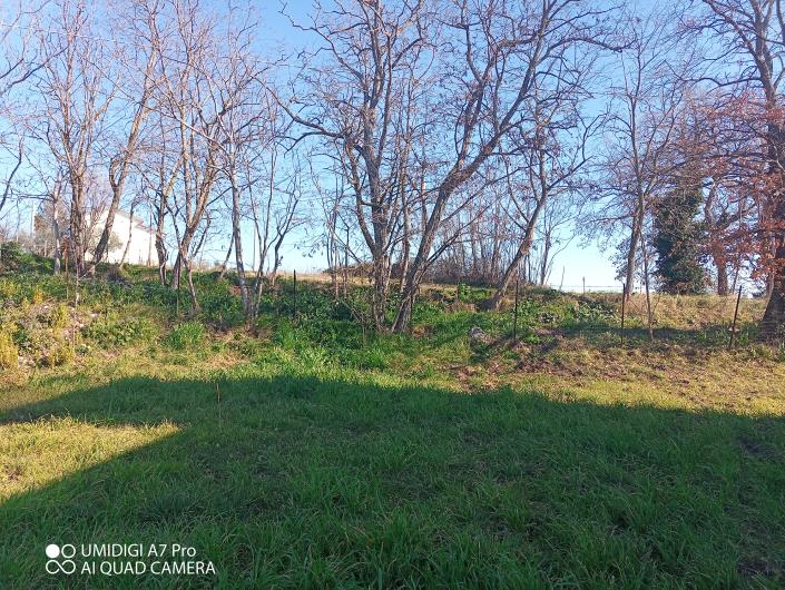 Image No.26-Villa / Détaché à vendre à Castél Frentano