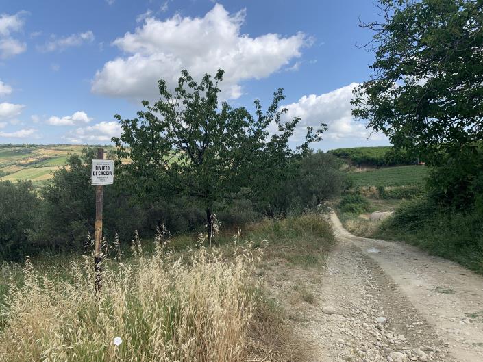 Image No.6-Land for sale