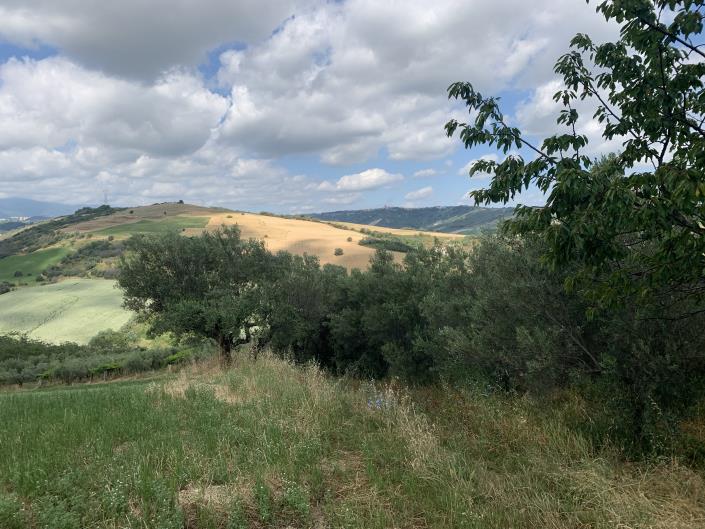 Image No.9-Land for sale