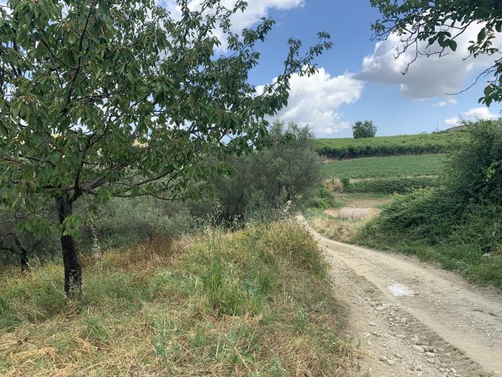 Image No.11-Land for sale