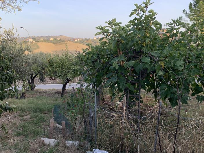 Image No.18-Plot for sale