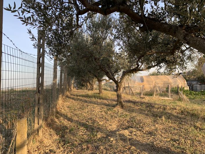 Image No.30-Plot for sale