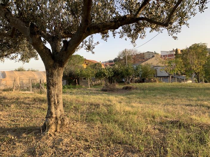 Image No.7-Plot for sale