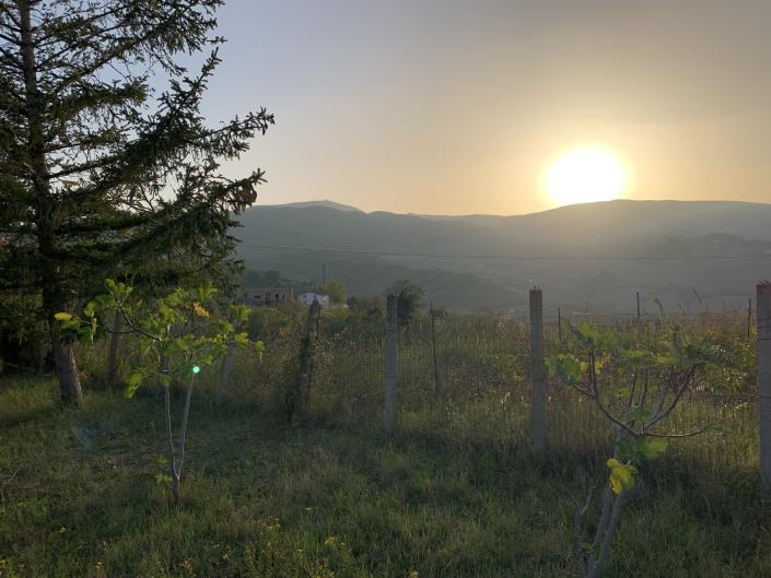 Image No.26-Plot for sale