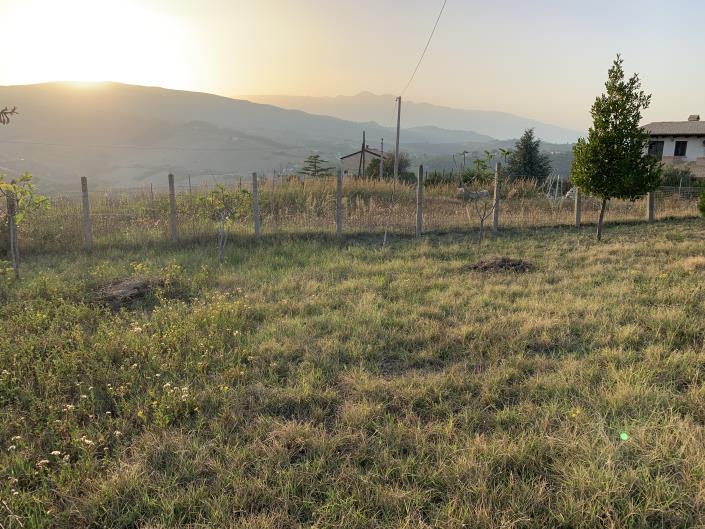 Image No.8-Plot for sale