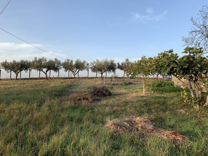 Image No.39-Plot for sale