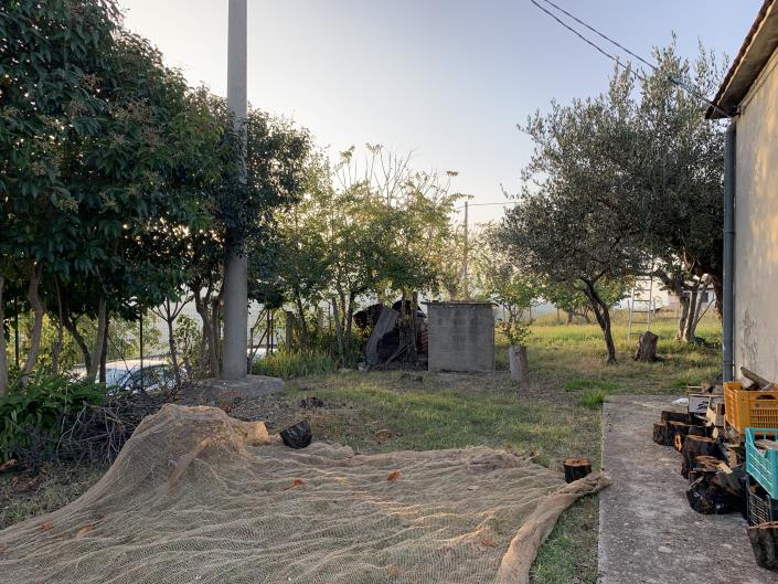 Image No.42-Plot for sale