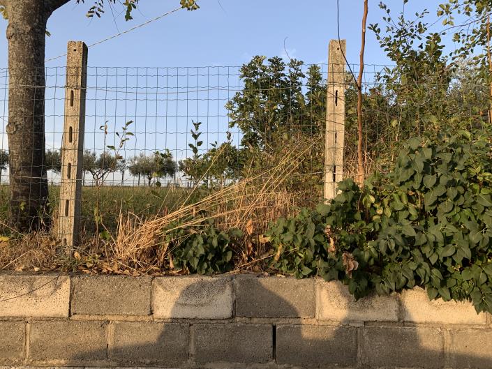 Image No.48-Plot for sale