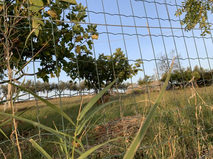 Image No.52-Plot for sale