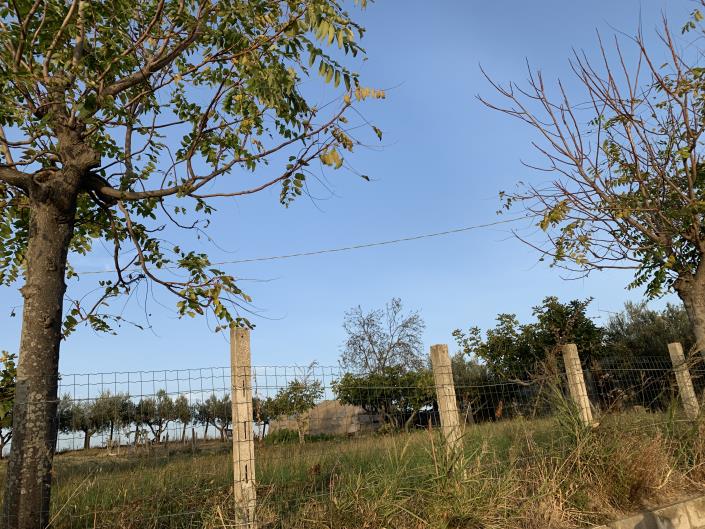 Image No.51-Plot for sale