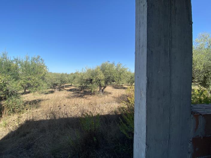 Image No.31-Villa / Detached for sale