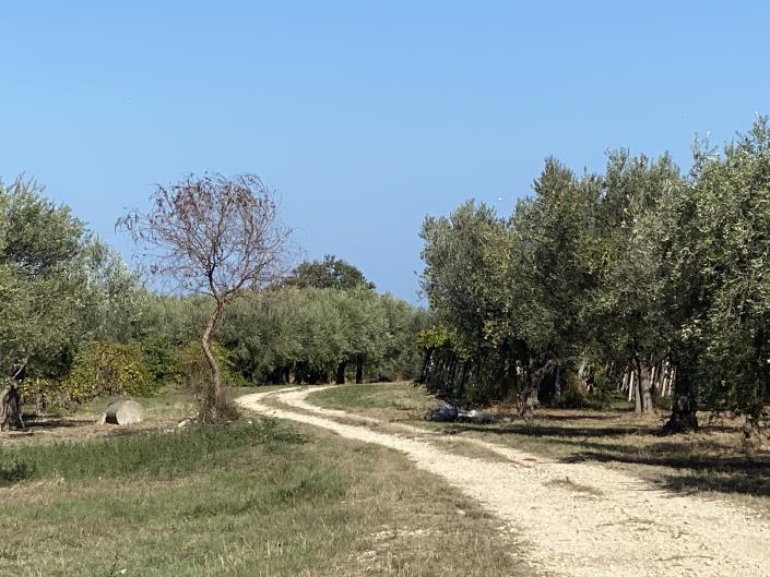 Image No.34-Villa / Detached for sale