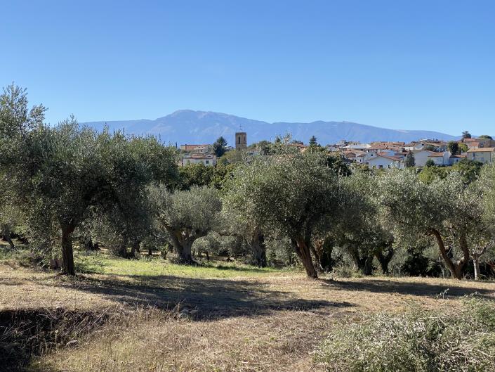 Image No.35-Villa / Detached for sale