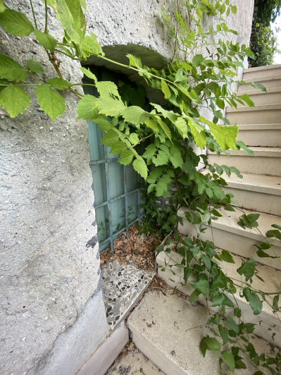 Image No.26-Ferme à vendre à Perano