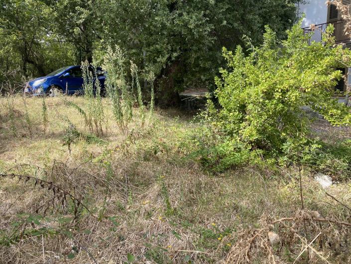 Image No.39-Ferme à vendre à Perano