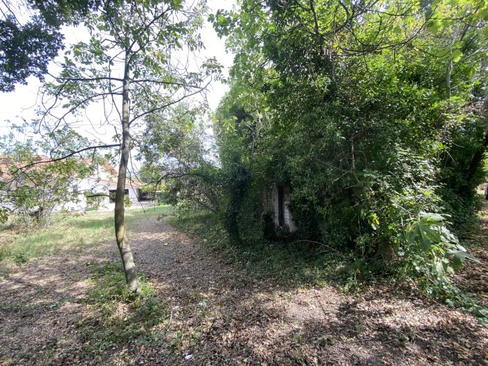 Image No.40-Ferme à vendre à Perano